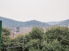 -树山生态村