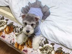 -多卡布奇宠物生活馆(上林世家店)