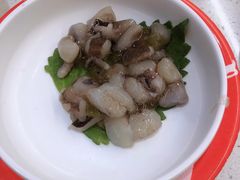 -京樽回転寿司(奥林匹克店)