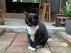 -下面馆