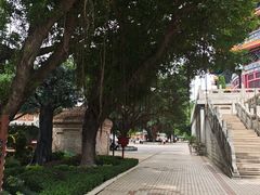 -广东圆玄道观