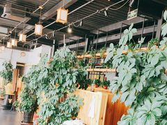 -桃源村铁锅炖鱼(体育馆道店)