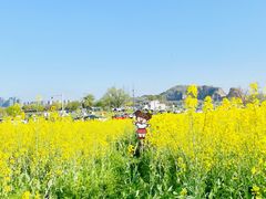 -西山漾湿地公园