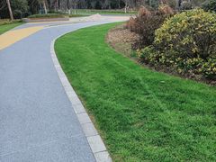 -昆山城市生态森林公园