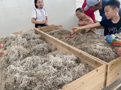 -中国宣纸文化园