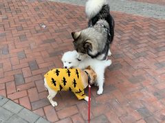 -万达广场(东莞厚街店)