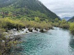 -九寨沟-树正沟