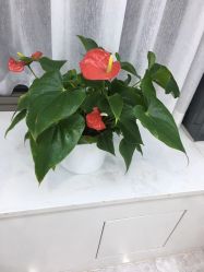 -悟空祛痘·诺奖技术专业店