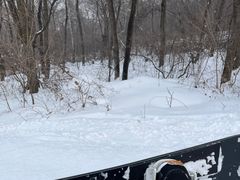 -中旅松花湖滑雪场