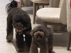 -YCHL Studios健身工作室(市二宫店)