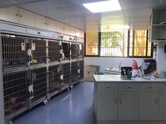 -宠颐生动物医院·猫科·心脏科(海口分院)
