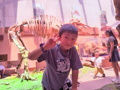 -陕西自然博物馆