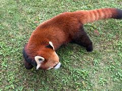 -黔灵山公园-南门售票处