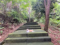 -铁山坪森林公园