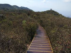 -大围山国家森林公园