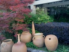 -千岛湖品鱼馆(钓鱼岛店)