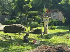 -槟城植物园