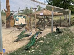 -红山体育度假乐园
