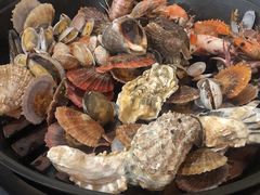 -大锅强·蒸海鲜青岛菜(吾悦广场店)