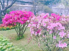 -陈家祠堂-游客中心