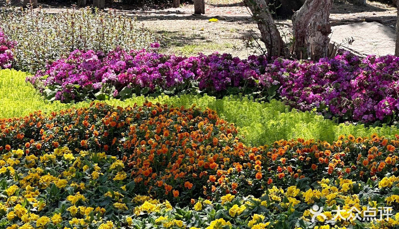 属于小镇咖啡馆的春和景明