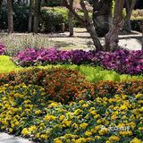 属于小镇咖啡馆的春和景明