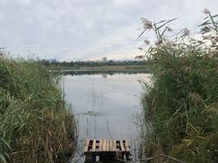 -绿堤公园