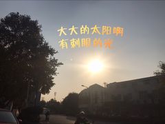 -紫金山山顶公园