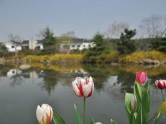 -白马涧龙池景区