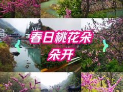 -百杖潭景区