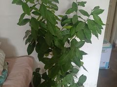 -中关村生命科学园