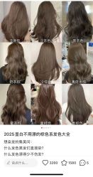 -MT·ID 烫发.染发.接发SALON