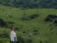 -大姆山草场