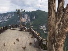 -重庆云阳龙缸景区