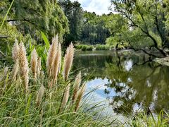 -上海共青森林公园