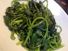 -顺承小院儿
