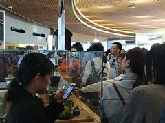 -雪绿茶博物馆