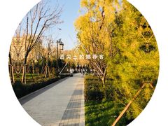 -迎泽公园