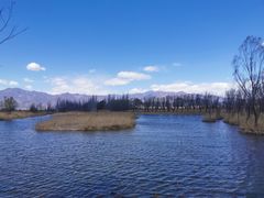 -野鸭湖国家湿地公园