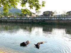 -杭州双溪漂流景区