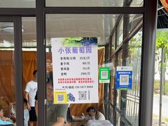 -马陆小张葡萄园农家乐