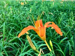 -北京西山国家森林公园