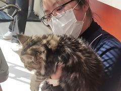 -艾贝尔宠物医院 ·内科全科(梁溪路店)