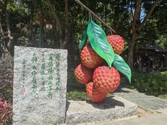 -惠州西湖丰渚园