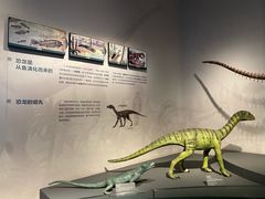 -自贡恐龙博物馆