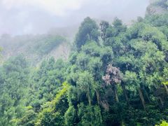 -刘伯温故里景区百丈漈