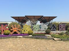 -上海长兴岛郊野公园