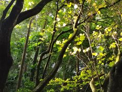 -广州市白云山风景名胜区