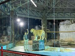 -清迈夜间动物园