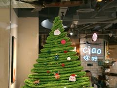 -鹤茶野所(上海首店)